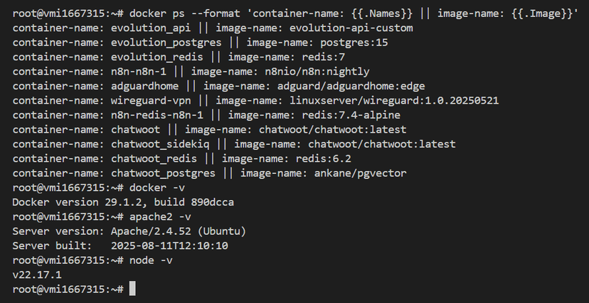 Linux terminal where there's a list showing all the conainter that I run on the VPS and its 